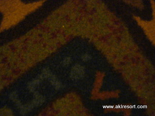 Hidden Mickey in DVC carpeting 4